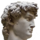 Profilo della testa del David di Michelangelo